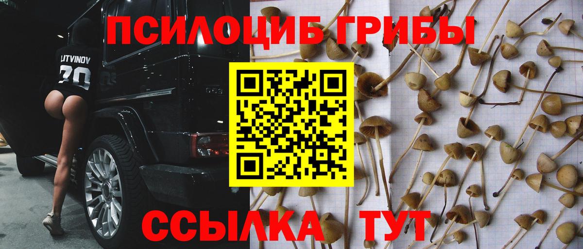 Псилоцибиновые грибы MAGIC MUSHROOMS Кириши